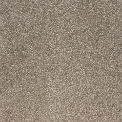 Carpet Flooring Commercial